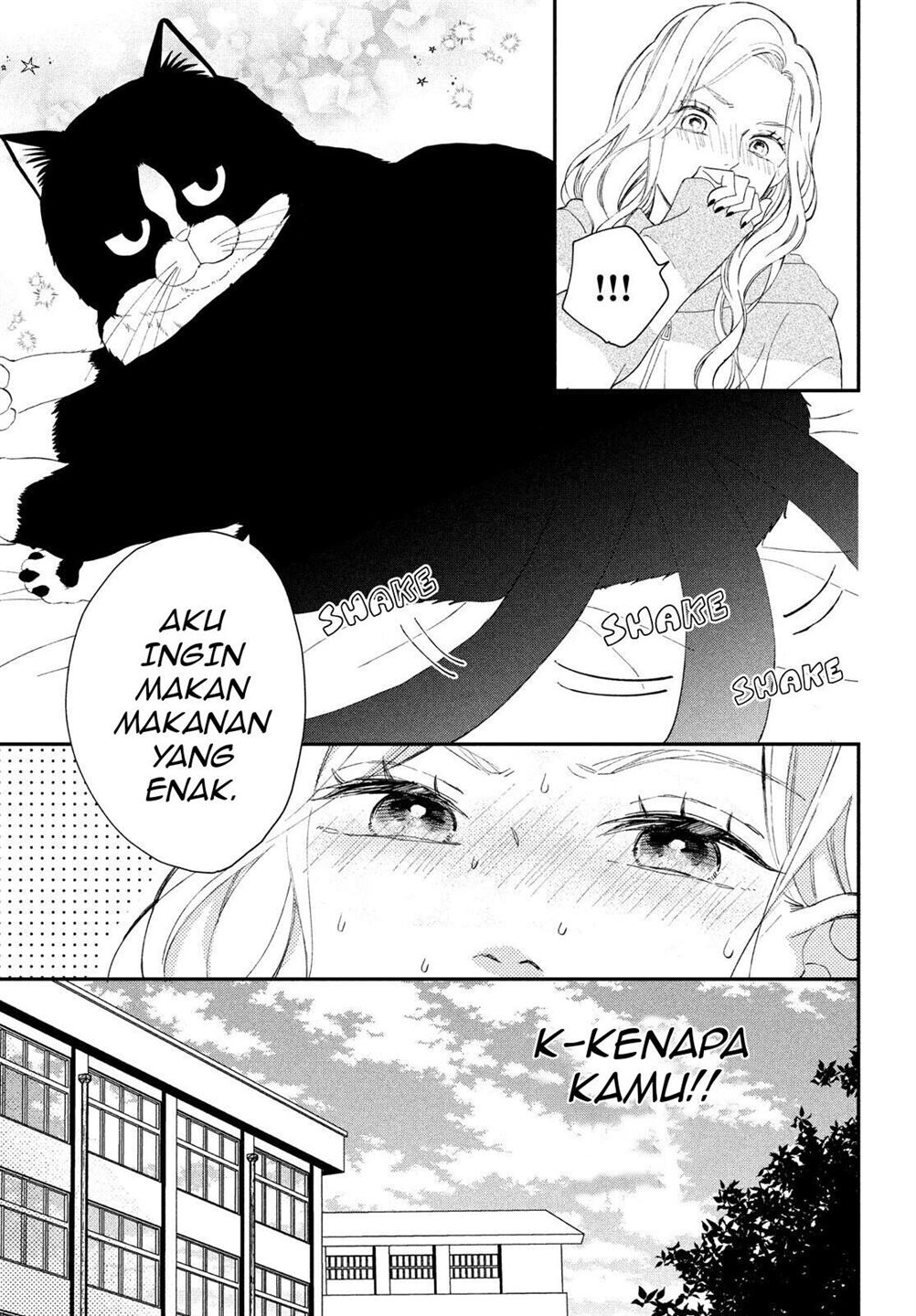 Neko to Kiss Chapter 5