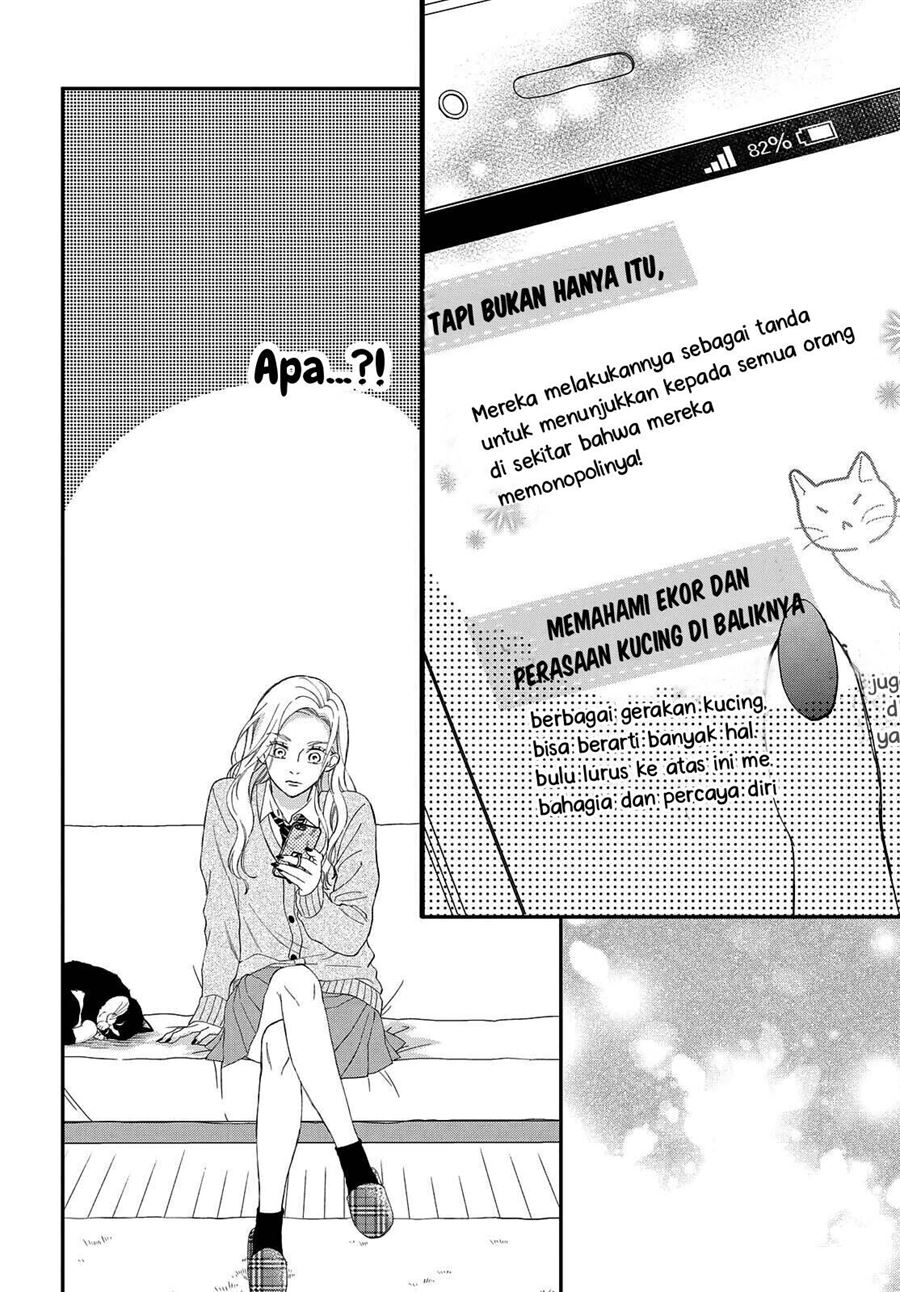 Neko to Kiss Chapter 6