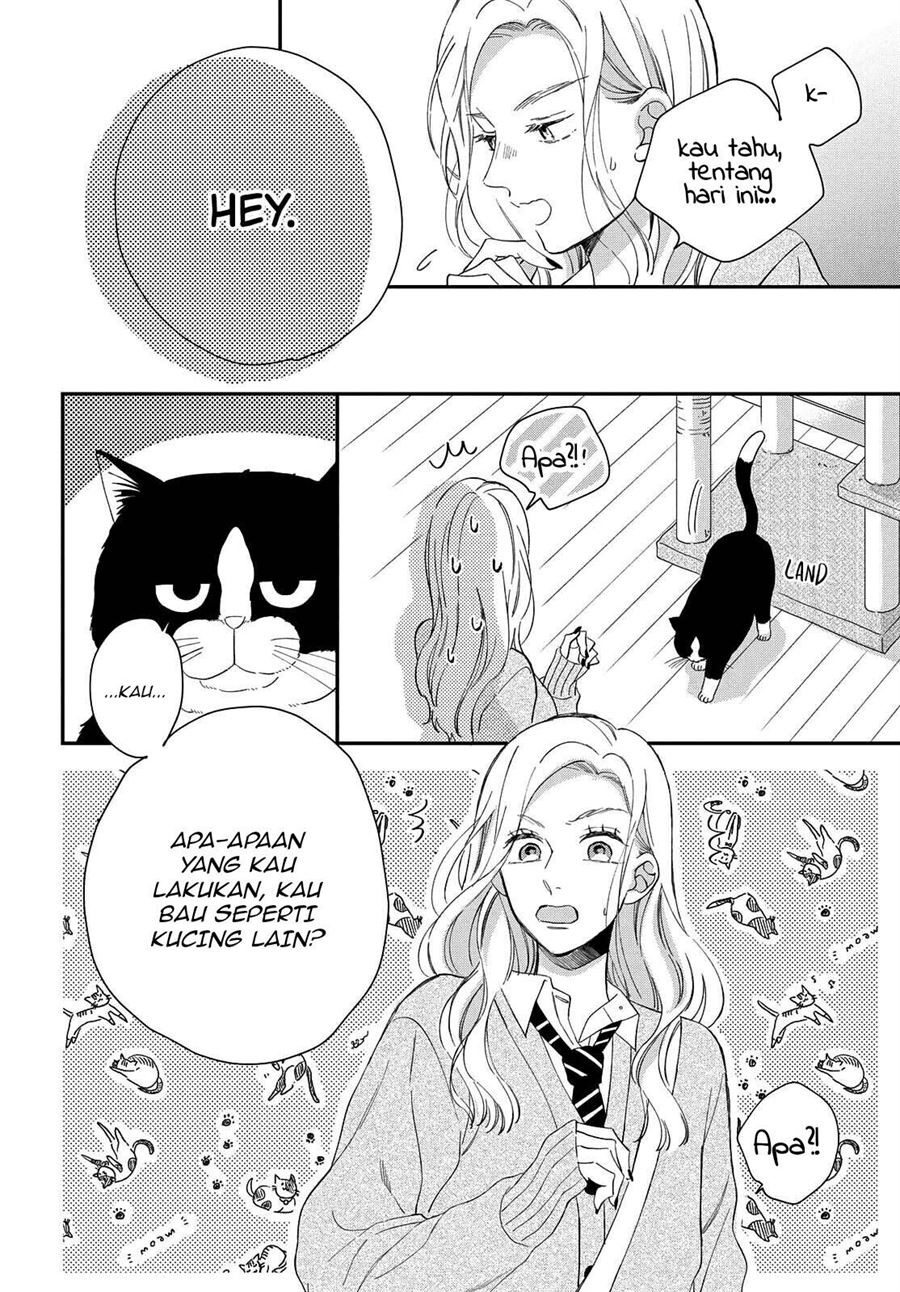 Neko to Kiss Chapter 6