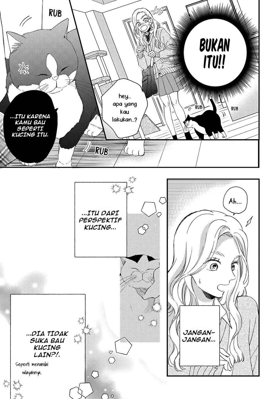 Neko to Kiss Chapter 6