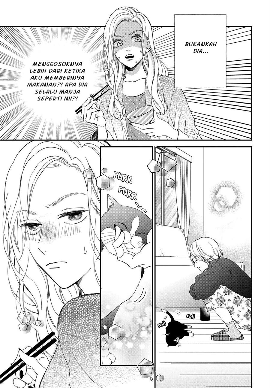 Neko to Kiss Chapter 7