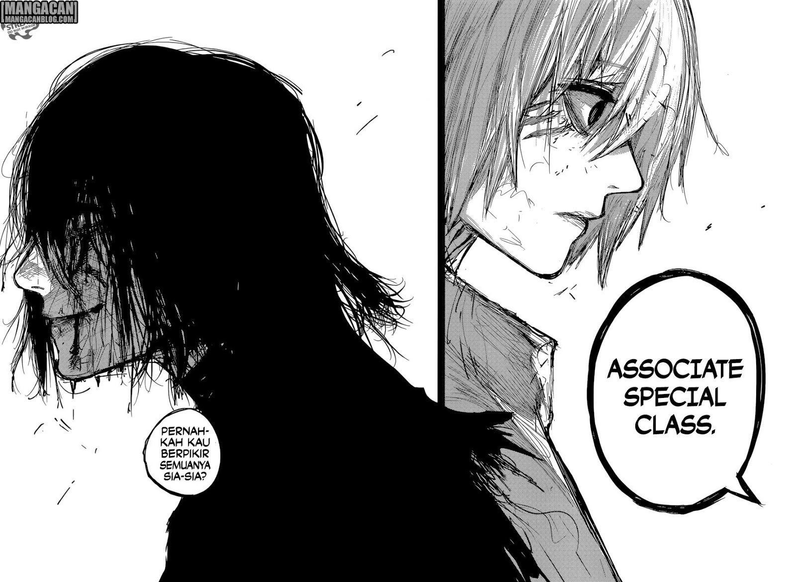 Tokyo Ghoul:re Chapter 175