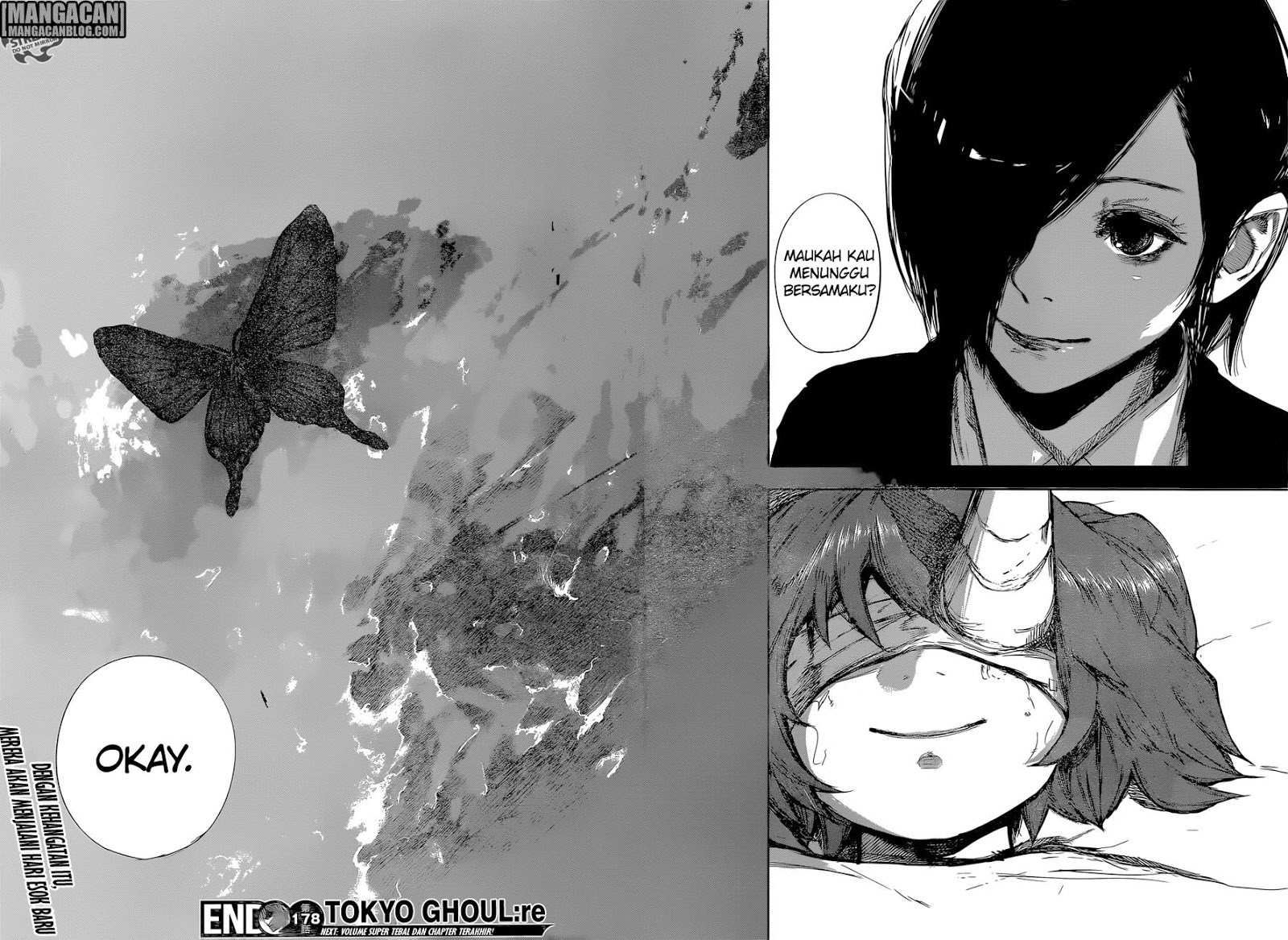 Tokyo Ghoul:re Chapter 178