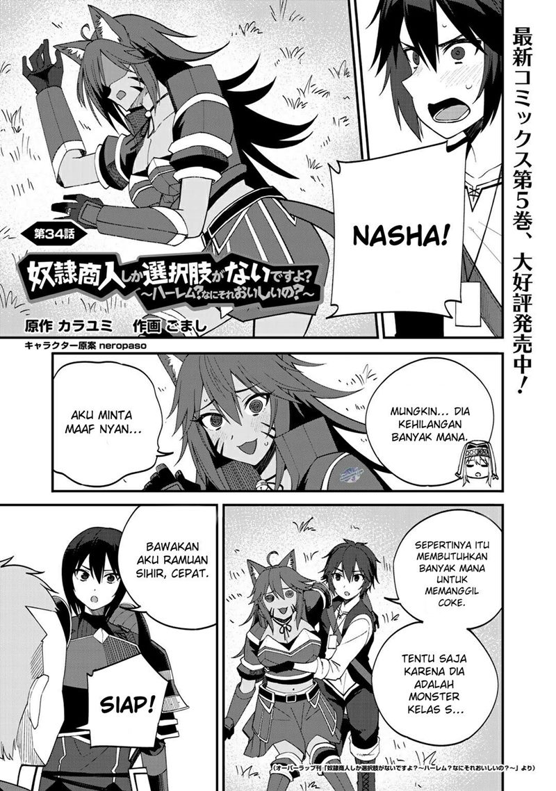 Dorei Shounin shika Sentakushi ga nai desu yo? ~Harem? Nani sore oishii no?~ Chapter 34