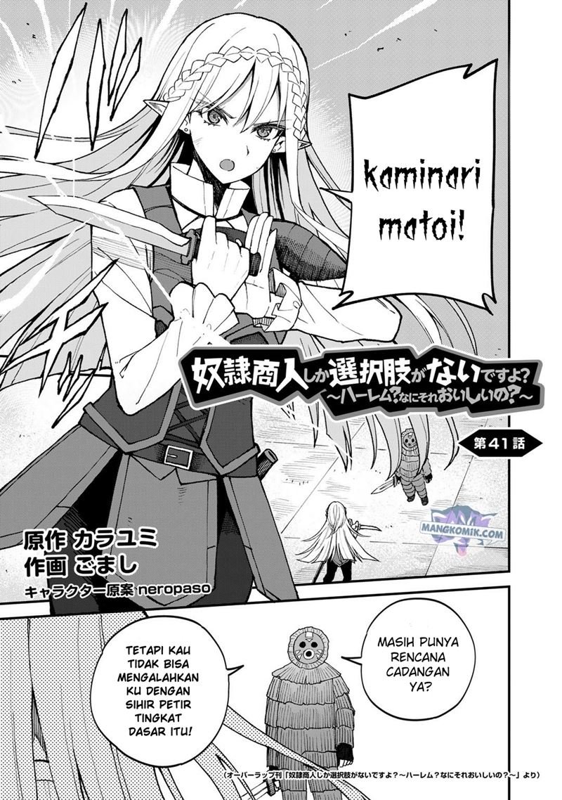 Dorei Shounin shika Sentakushi ga nai desu yo? ~Harem? Nani sore oishii no?~ Chapter 41