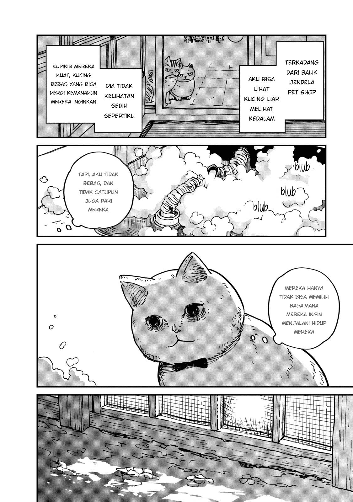 Tsureneko: Maruru to Hachi Chapter 1