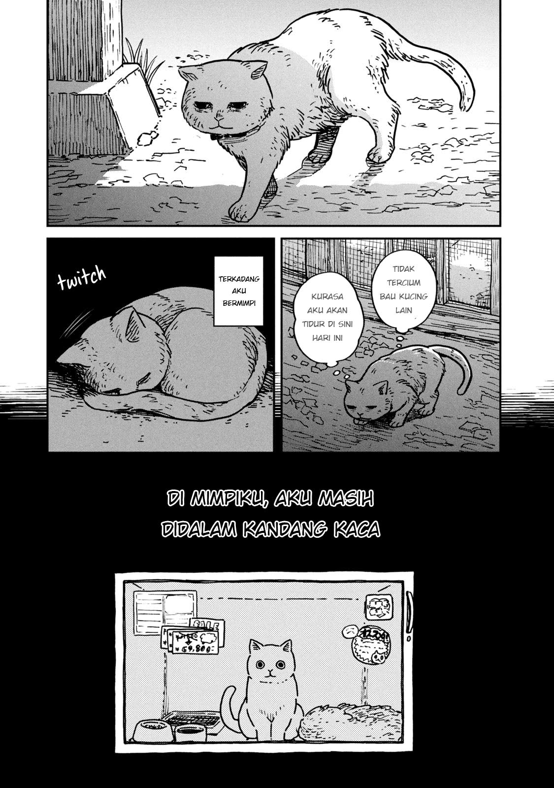 Tsureneko: Maruru to Hachi Chapter 1