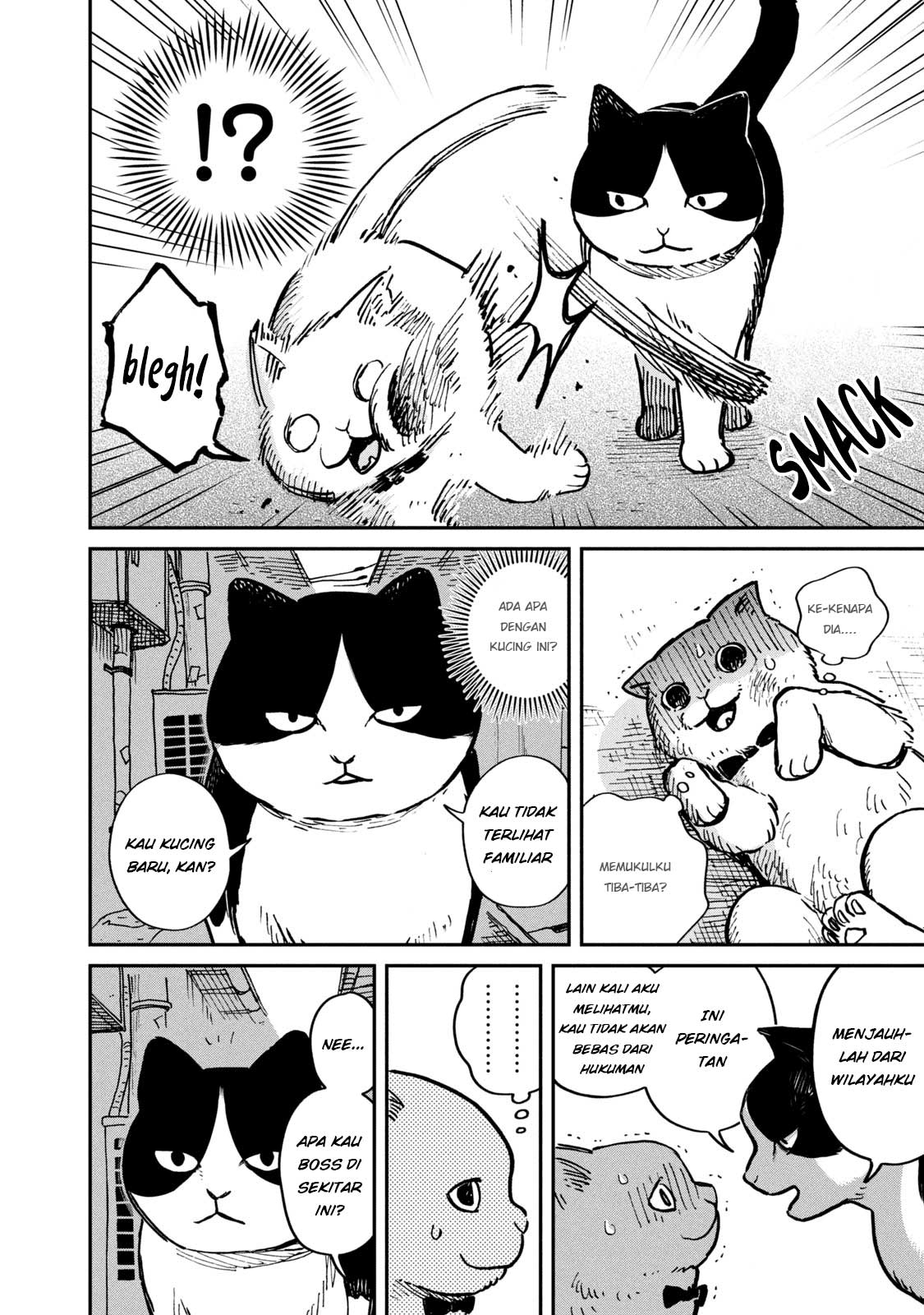 Tsureneko: Maruru to Hachi Chapter 1