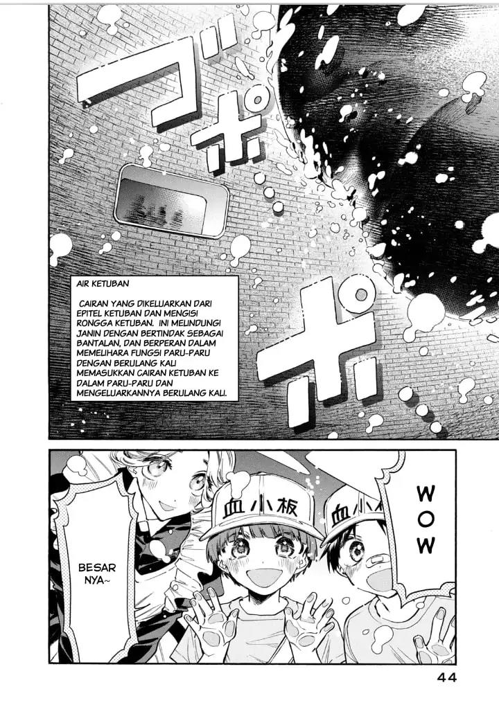 Hataraku Saibou LADY Chapter 12