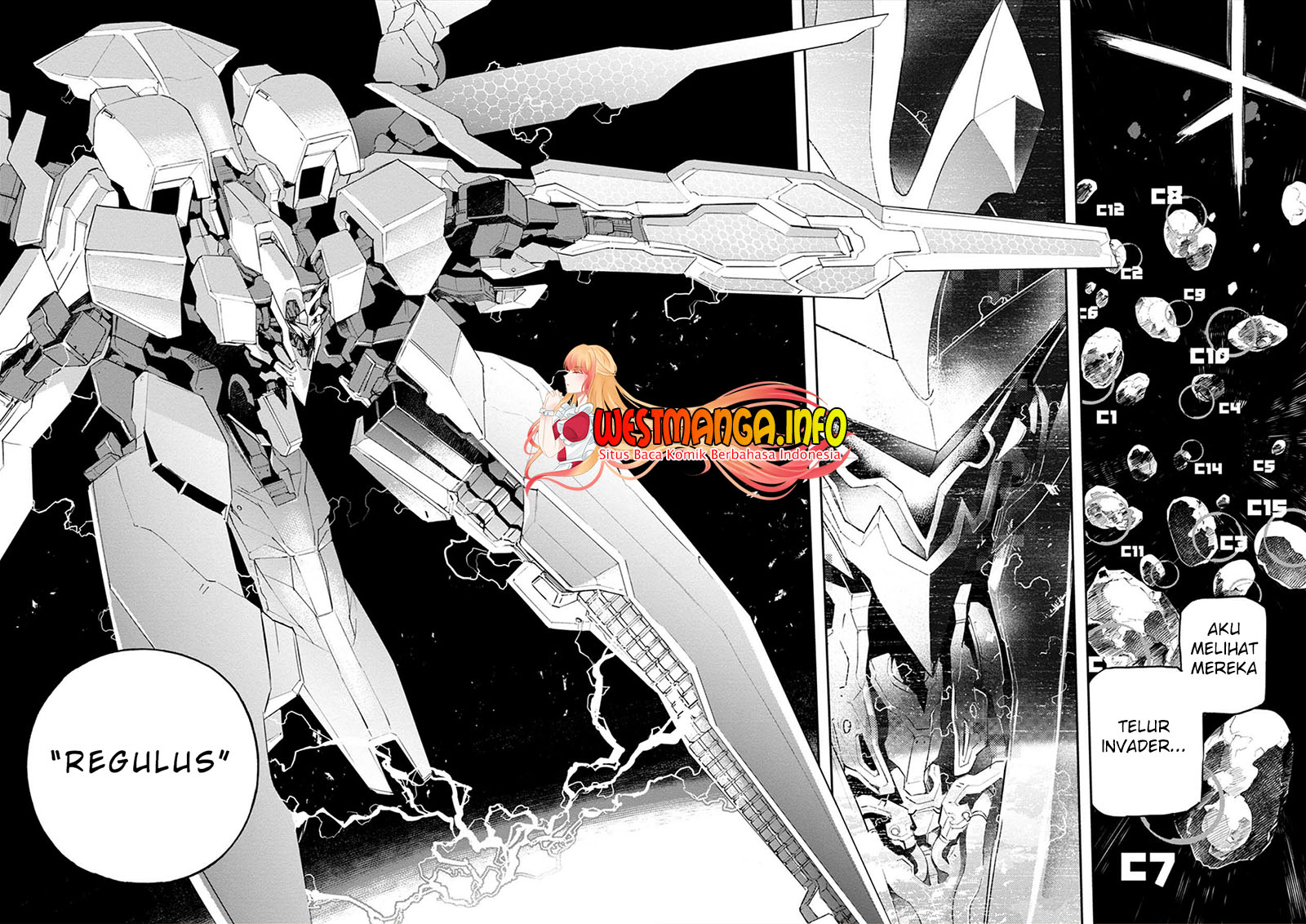 Cosmic Censorship Chapter 14