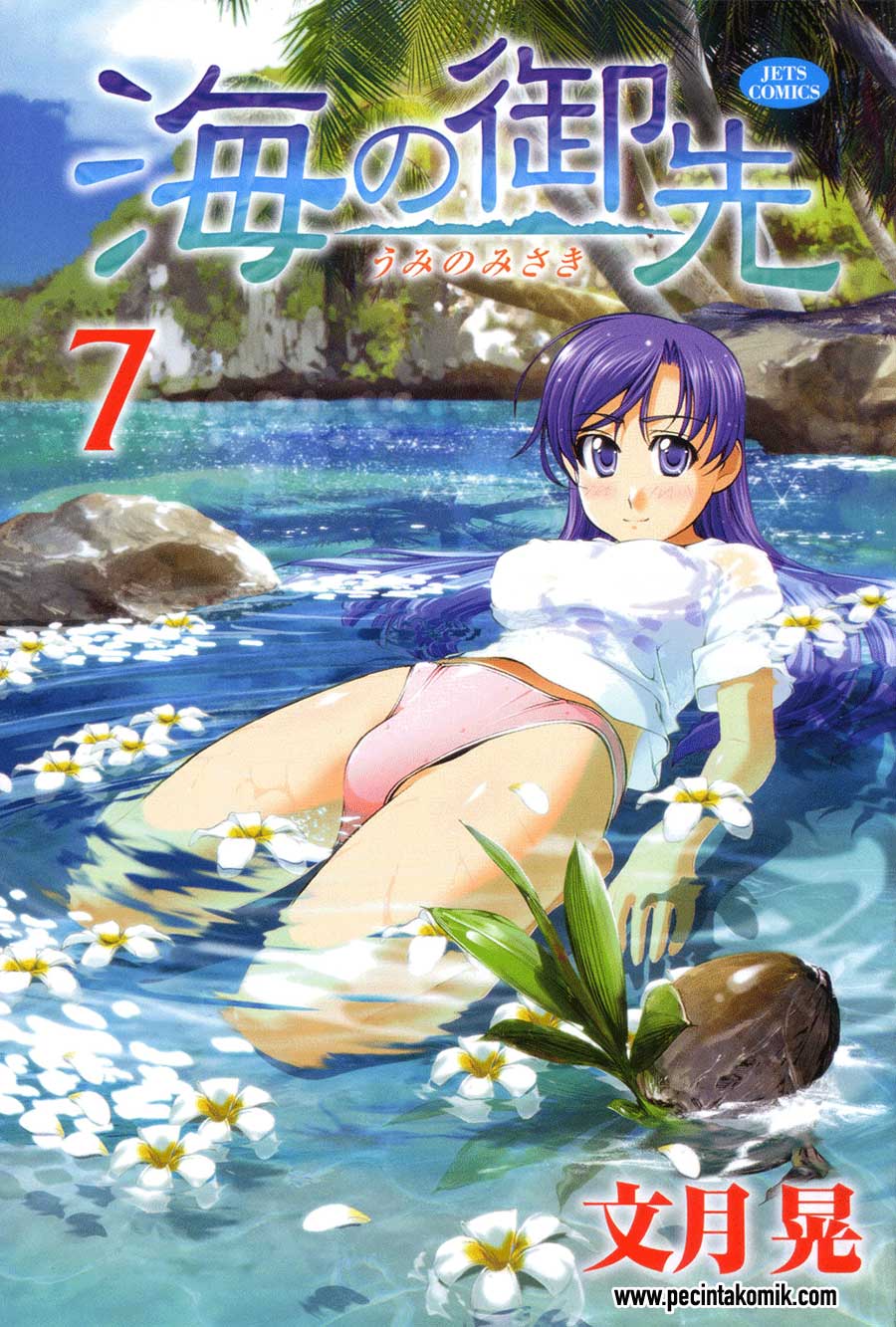 Umi no Misaki Chapter 53