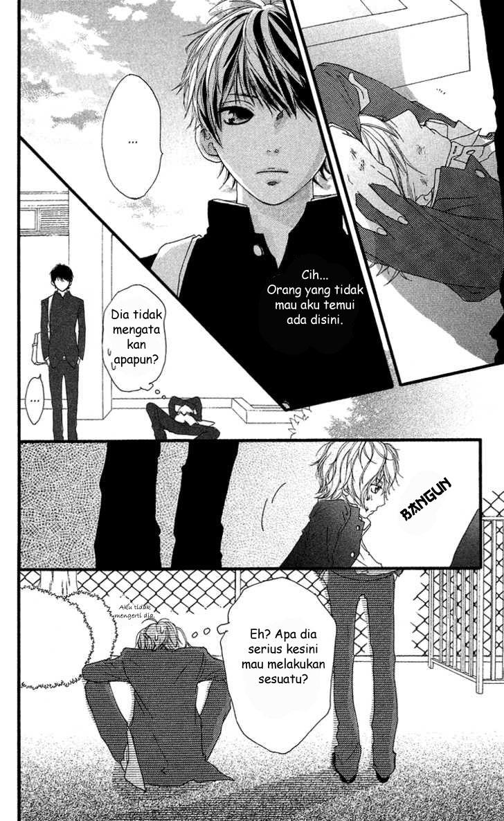 Strobe Edge Chapter 19.5