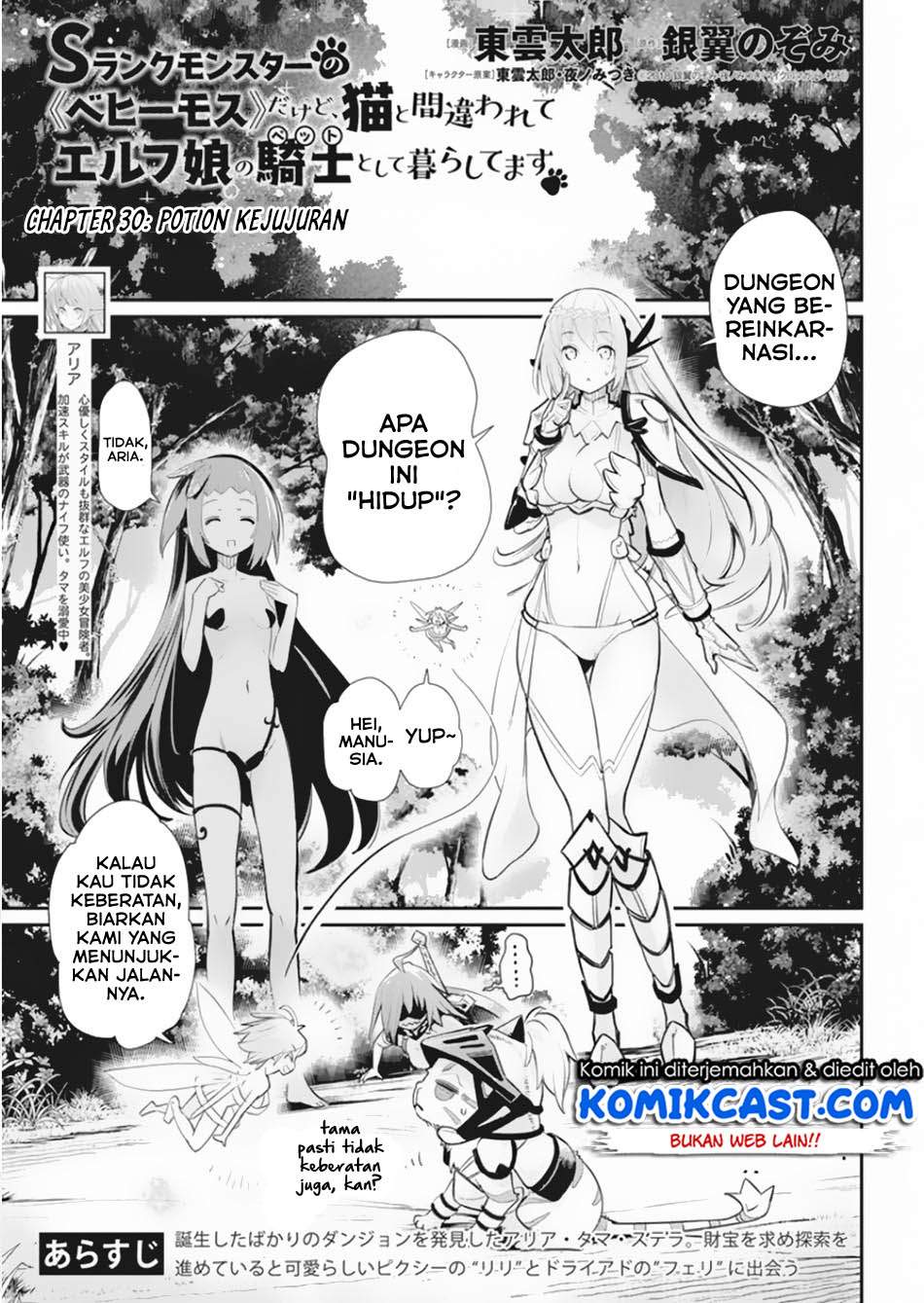 S-Rank Monster no Behemoth Dakedo, Neko to Machigawarete Erufu Musume no Kishi (Pet) Toshite Kurashitemasu Chapter 30