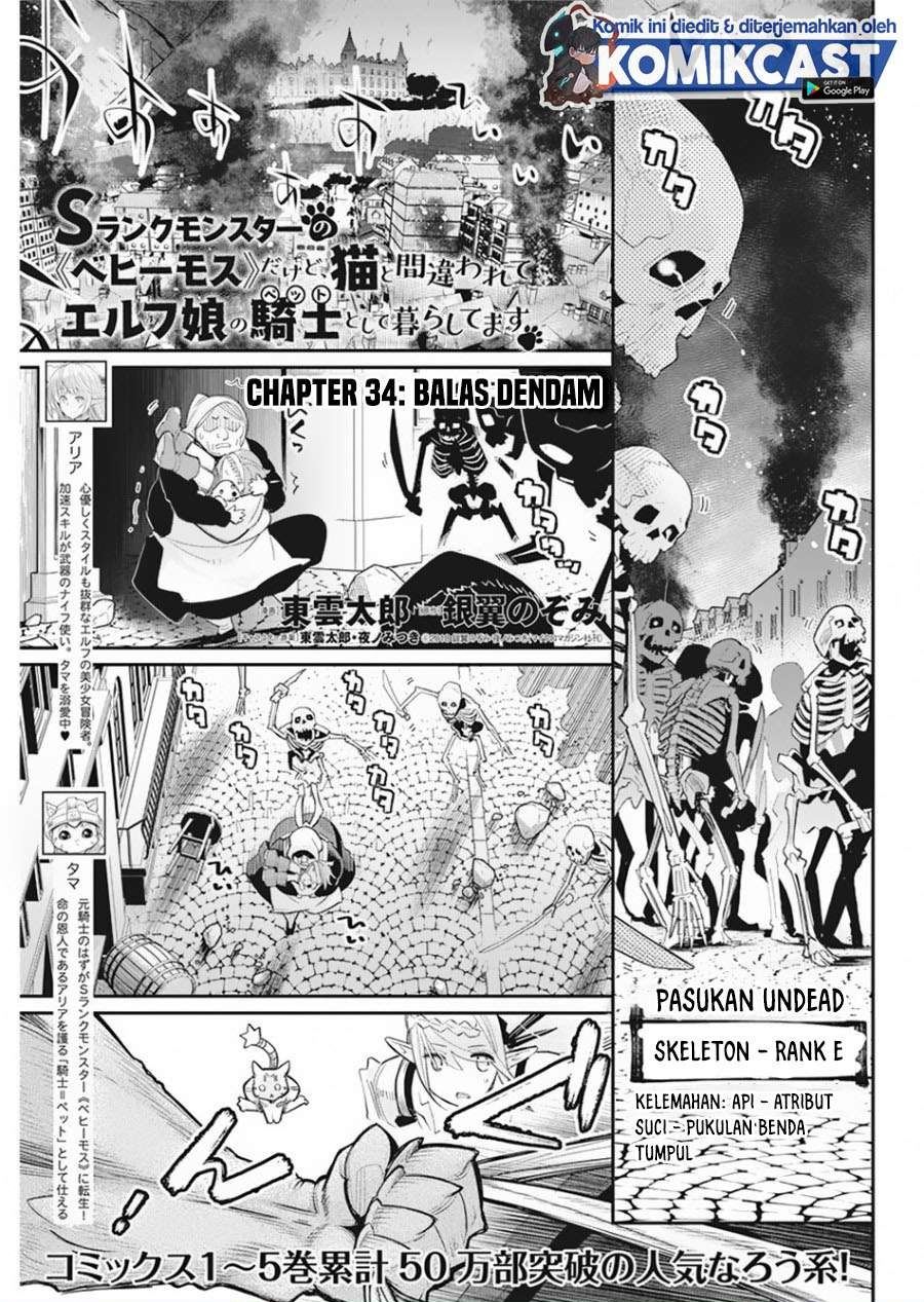 S-Rank Monster no Behemoth Dakedo, Neko to Machigawarete Erufu Musume no Kishi (Pet) Toshite Kurashitemasu Chapter 34