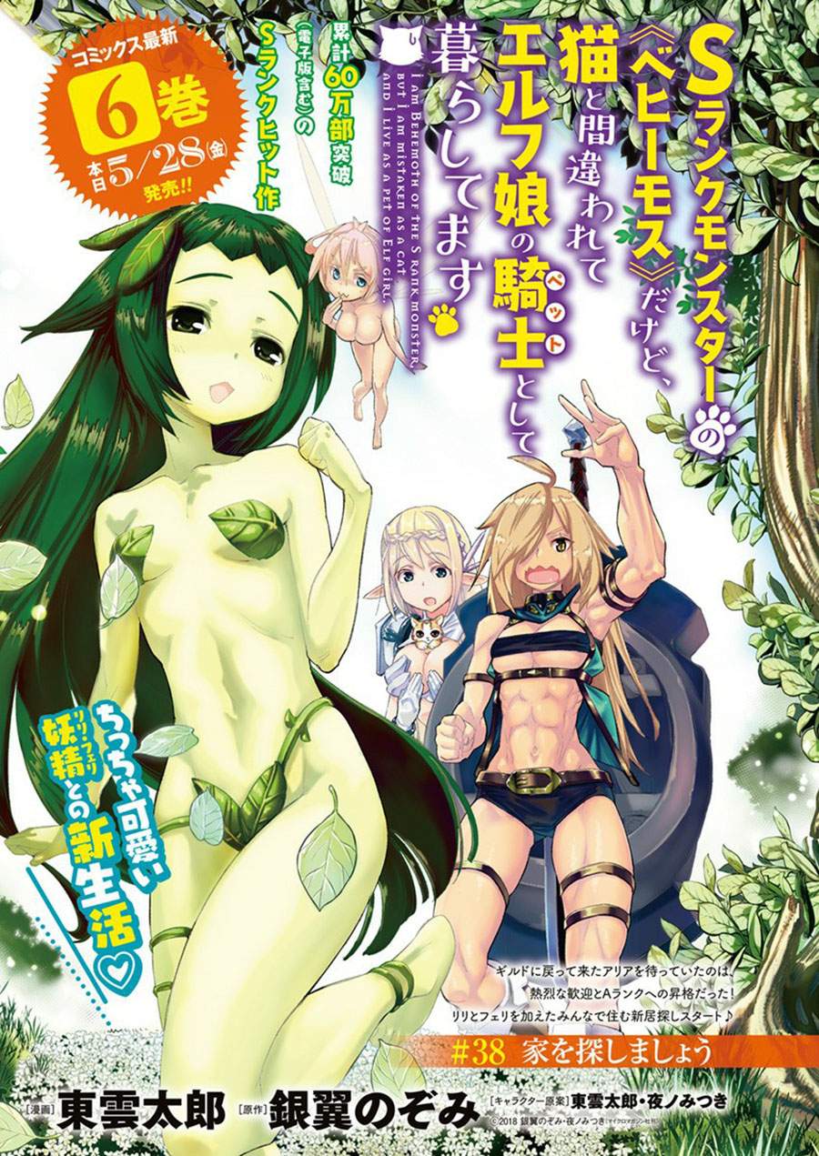 S-Rank Monster no Behemoth Dakedo, Neko to Machigawarete Erufu Musume no Kishi (Pet) Toshite Kurashitemasu Chapter 38